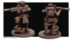 Desert Hawks Frontline Team Defense Force Elite Squad of five Available in bits. 32mm Scale for popular wargames. (Copy)